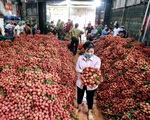 6 tháng đầu năm 2019, nông sản qua Trung Quốc giảm mạnh, tại sao?