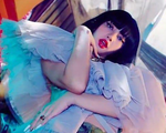 MV 