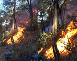 Cháy rừng lan ra 3 huyện, cả ngàn người dập lửa