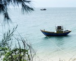 Đến Cù Lao Câu lặn ngắm san hô, ngắm vương quốc đá