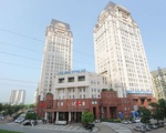 Không có tiền trả nợ, Sông Đà xin chỉ định thầu làm cao tốc Bắc - Nam