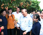Thủ tướng động viên đoàn xe xuất hành tiêu thụ vải thiều Bắc Giang