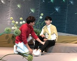 Bồ công anh: Nốt trầm xao xuyến