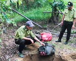 Bò tót 200kg bị lâm tặc hạ sát trong Vườn quốc gia Cát Tiên
