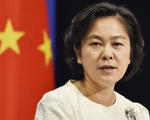 hoa-xuan-oanh-bien-dong-1594802366348497525640-crop-15948024626571215091371.png