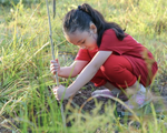 Giáo dục trẻ yêu thiên nhiên qua hoạt động trồng cây gây rừng