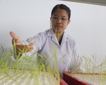 Phụ nữ làm khoa học: Lúc ăn cơm cũng phải làm