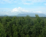 Chuyến du lịch 