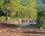 Cả trăm người vào rừng tìm cụ bà mất trí nhớ đi lạc, 5 ngày chưa thấy