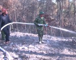 Hơn 300 người mới dập được đám cháy rừng nghi do đốt rác gây nên