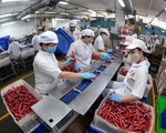 Mục tiêu kép vừa phòng thủ dịch vừa tấn công kinh tế