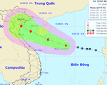 Vùng áp thấp trên biển Đông đã mạnh lên thành áp thấp nhiệt đới