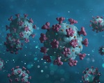 Giới khoa học lên án WHO phớt lờ mối nguy virus corona lây qua không khí