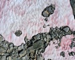 Băng tuyết màu hồng xuất hiện bí ẩn trên dãy Alps