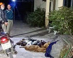 Bắt quả tang ‘cẩu tặc’ mang 10 con chó trộm được đi tiêu thụ