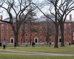 ĐH Harvard, Viện MIT kiện chính sách bắt du học sinh hồi hương là 