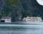 Hạ Long, Lan Hạ 