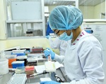 Việt Nam áp dụng phương pháp gộp mẫu để xét nghiệm phát hiện COVID-19