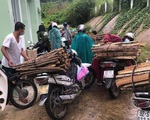 Đoàn thanh niên góp củi cho khu cách ly