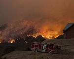 Cháy rừng ở Nam California, gần 8.000 người sơ tán