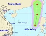 Biển Đông áp thấp nhiệt đới, TP.HCM, Nam Bộ mưa dông
