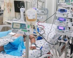 Truyền hơn 2 lít máu cứu bé trai tái sốc sốt xuất huyết, nhiều biến chứng nặng
