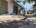 Đà Nẵng, đất thuê để sản xuất kinh doanh nhưng lại phân lô bán nền