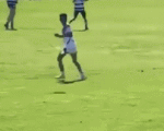 Video: Đang thi đấu, cầu thủ bị chim ác là... tấn công chạy khỏi sân bóng