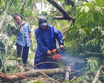 Bão số 5: Đà Nẵng chèn bao cát ngăn nước vào nhà, Huế có 14 người bị thương