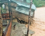 Nhà cửa đổ sập, trâu bò chết trôi tại Tây Giang do bão số 5