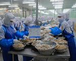 Du lịch Đà Nẵng bị thổi bay 26.000 tỉ đồng
