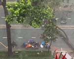 Cây bật gốc đổ ngang đường Nguyễn Tri Phương làm 1 người bị thương, ngập và kẹt xe nhiều nơi