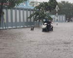 Cây bật gốc đổ ngang đường Nguyễn Tri Phương làm 1 người bị thương, ngập và kẹt xe nhiều nơi