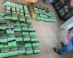 Công an TP.HCM thu 10 khẩu súng, hơn 300kg ma túy trong một quý