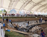Gần 300 nhà khoa học, khảo cổ học đến bãi cọc Cao Quỳ và khu di tích Bạch Đằng Giang