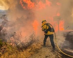 80% nhà cửa một thị trấn Mỹ bị lửa cháy rừng thiêu rụi