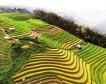 Yên Bái và giấc mơ Bhutan