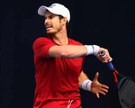 Điểm tin thể thao sáng 23-1: Andy Murray rút khỏi Úc mở rộng, De Bruyne nghỉ đấu dài hạn