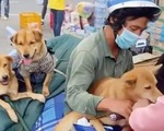 Vụ tiêu hủy chó ở Cà Mau: Chưa có bằng chứng nói động vật nhiễm COVID-19 lây sang người