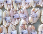 EU thu hồi, cảnh báo 2 sản phẩm nông sản Việt Nam chứa chất cấm