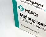 Châu Âu xem xét duyệt thuốc Molnupiravir đặc trị COVID-19