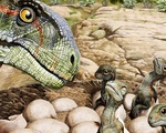 Phát hiện tổ khủng long có hơn 100 trứng và 80 bộ xương