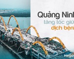 Quảng Ninh tăng tốc giữa dịch bệnh