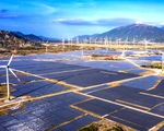 ‘Trống’ chính sách, nhà đầu tư điện mặt trời rơi vào thế khó