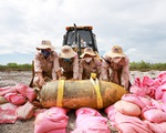 Khắc phục hậu quả bom mìn: Việt Nam cần 3.450 tỉ đồng viện trợ nước ngoài