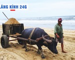 Lăng kính 24g: Nghề cầm ‘vô lăng dây’ có một không hai ở Việt Nam