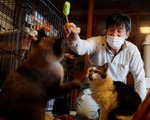 10 năm thảm họa Fukushima: Người ở lại vùng nhiễm phóng xạ giải cứu mèo