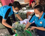 Người Sài Gòn bán bắp cải, su hào giúp nông dân Hải Dương