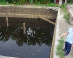 Vụ cá chết trên sông Mã: phát hiện thêm 1 doanh nghiệp xả nước thải xuống sông