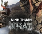 Rủ nhau gửi cây thanh thất đến Ninh Thuận để 'trồng rừng - giữ nước'
